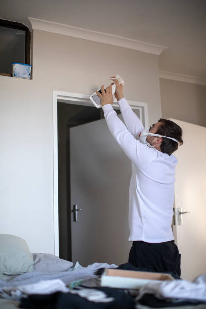 Best Environmental Consulting for Mold Prevention  in Carteret, NJ