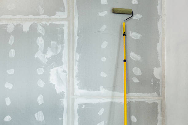 Best Industrial Mold Remediation  in Carteret, NJ