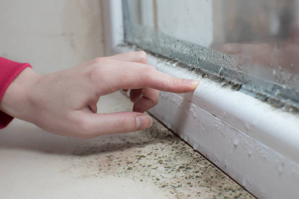 Best Forensic Mold Investigation  in Carteret, NJ