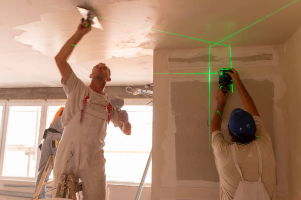 Best Attic Mold Removal  in Carteret, NJ