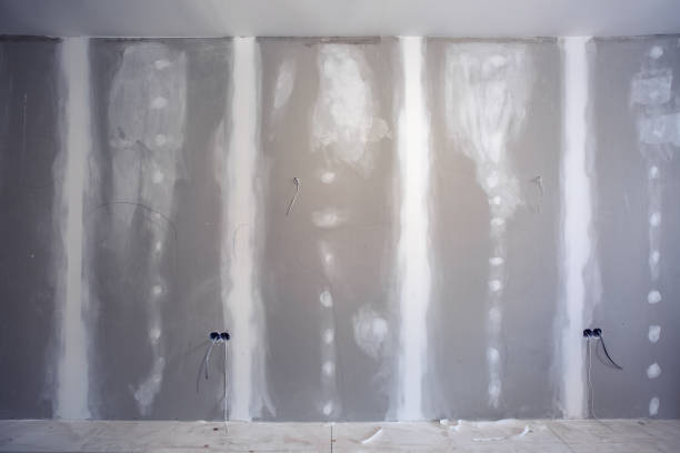Best Mold-Related Health Consultation  in Carteret, NJ