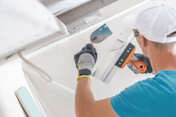 Best Emergency Mold Remediation  in Carteret, NJ